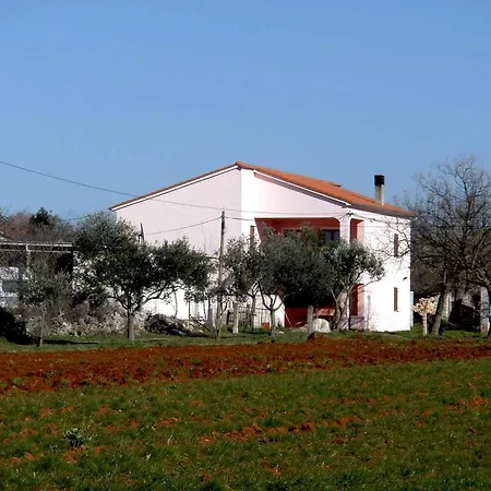 Petar Pula